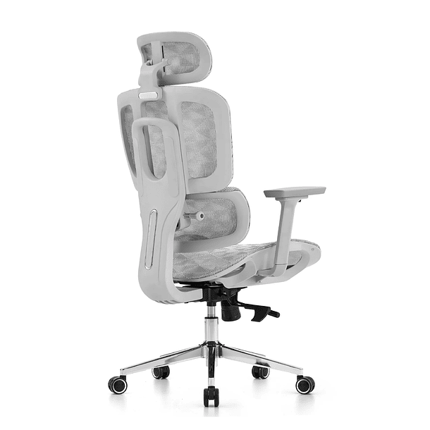 SILLA F60 ERGONOMICA GRAY MALLA - VERSUS 3