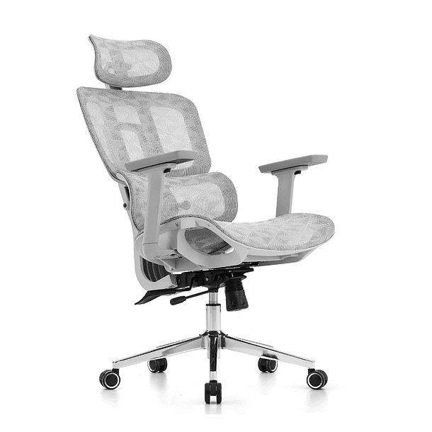 SILLA F60 ERGONOMICA GRAY MALLA - VERSUS 2