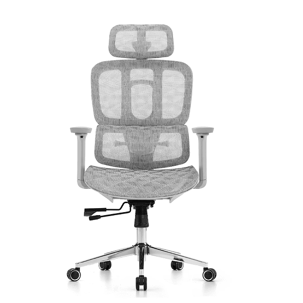 SILLA F60 ERGONOMICA GRAY MALLA - VERSUS 1