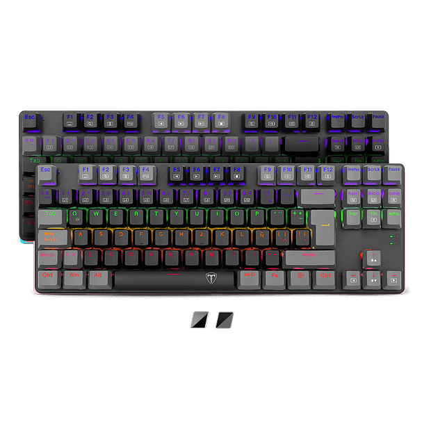 BORA LITE NEGRO / GRIS RAINBOW MECANICO - TDAGGER 2