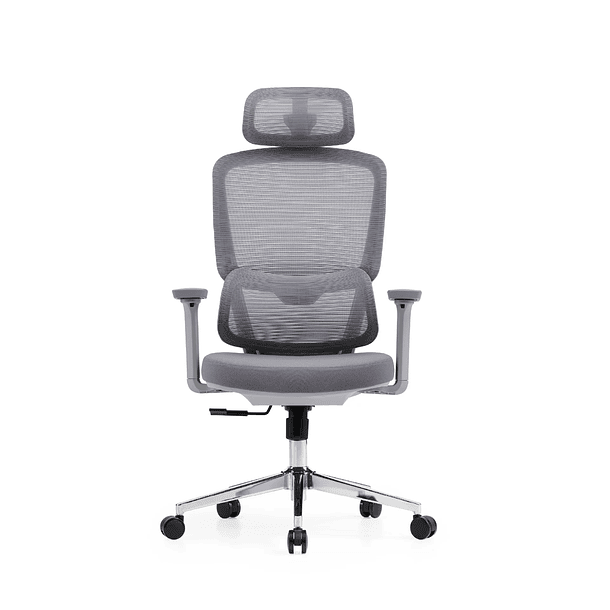 SILLA F15 ERGONOMICA GRIS BLANCA - VERSUS 2