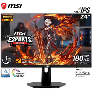 MSI 24