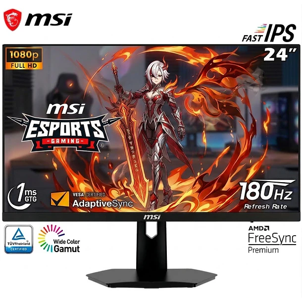 MSI 24