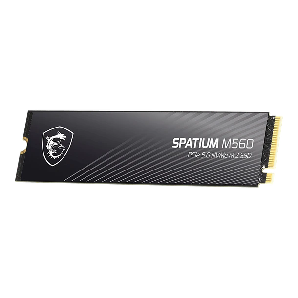 SOLIDO (M2) NVMe 2TB SPATIUM 5.0 - MSI 1