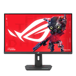ASUS 27