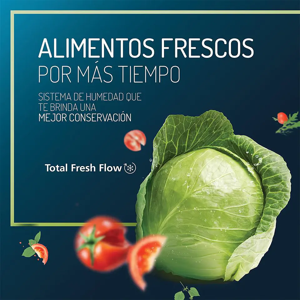 Nevera MABE No Frost Congelador Superior 230 Litros Netos RMA247FJCG RMA247FJCG Grafito 8
