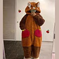 Adult Raccoon Cosplay Costume Robes Kigurumi Unicorn Onesie Anime Nightgown Halloween Cartoon Bear Pajamas Winter - Miniatura 3