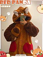 Adult Raccoon Cosplay Costume Robes Kigurumi Unicorn Onesie Anime Nightgown Halloween Cartoon Bear Pajamas Winter - Miniatura 13