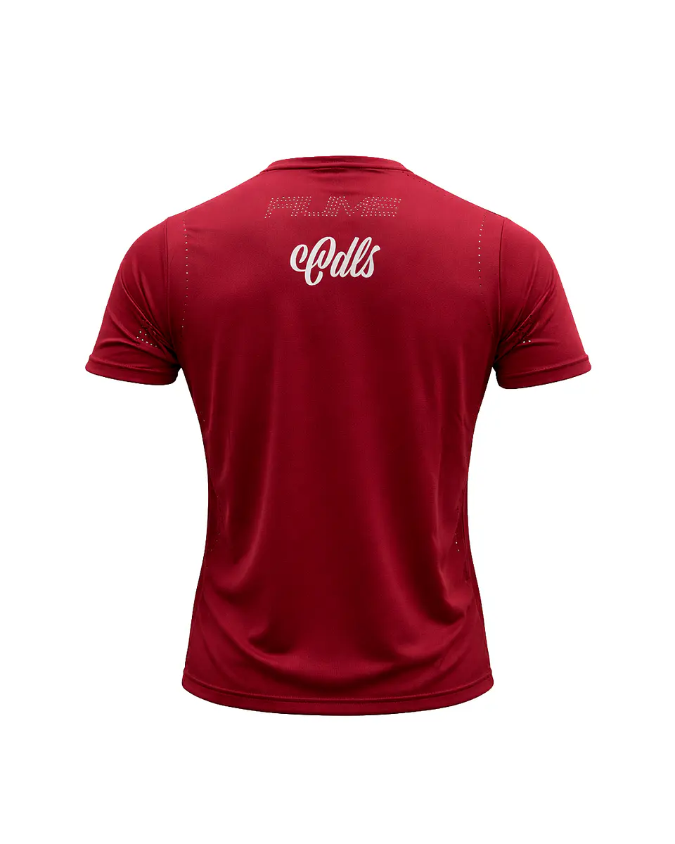 Camiseta Entrenamiento Roja Adulto 2026 2