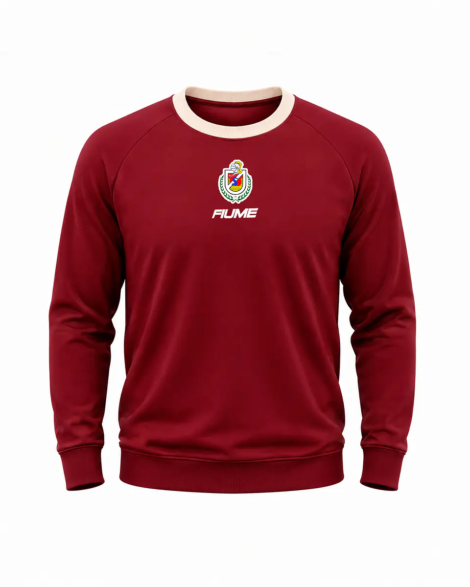Poleron Cuello Redondo Adulto 2026 1