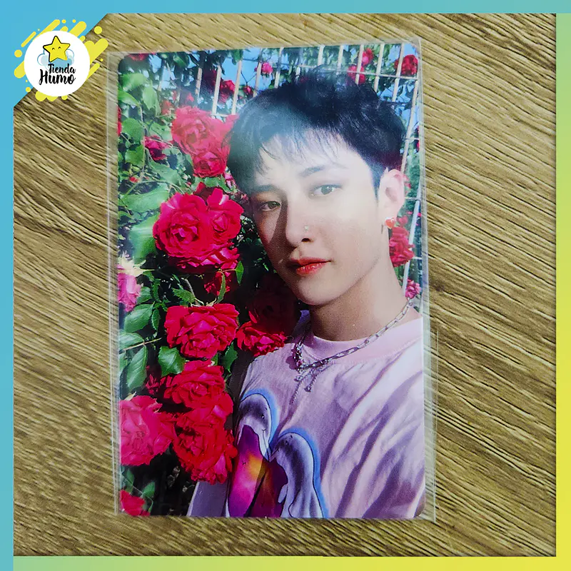 STRAY KIDS - MAXIDENT YES24 PHOTOCARD  2