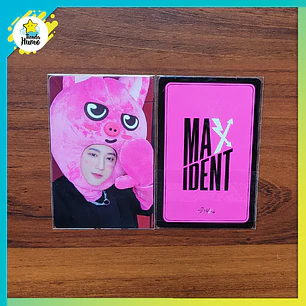 STRAY KIDS - MAXIDENT JYP SHOP