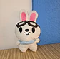 STRAY KIDS - PELUCHE SKZOO PILOT : FOR ★★★★★ 20CMS ALTERNATIVOS VER.2 - thumbnail 3