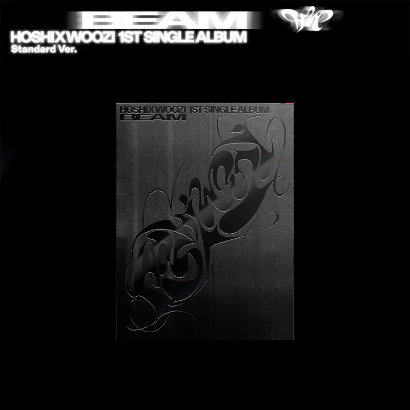 SEVENTEEN HOSHI X WOOZI - BEAM  2