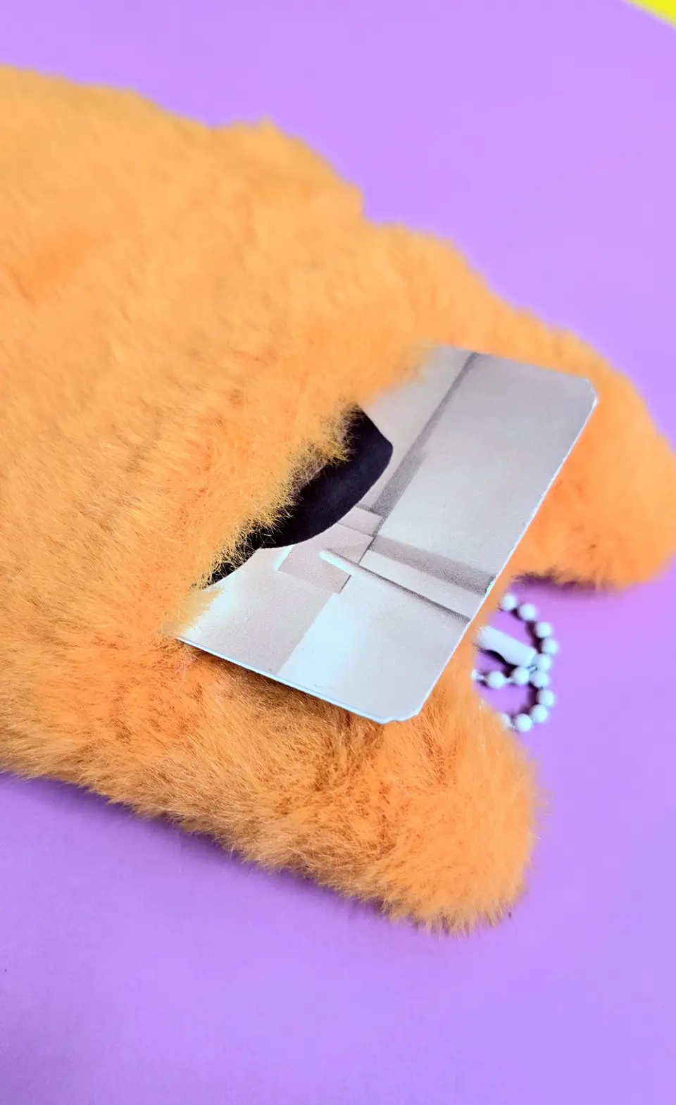 CARD HOLDER  