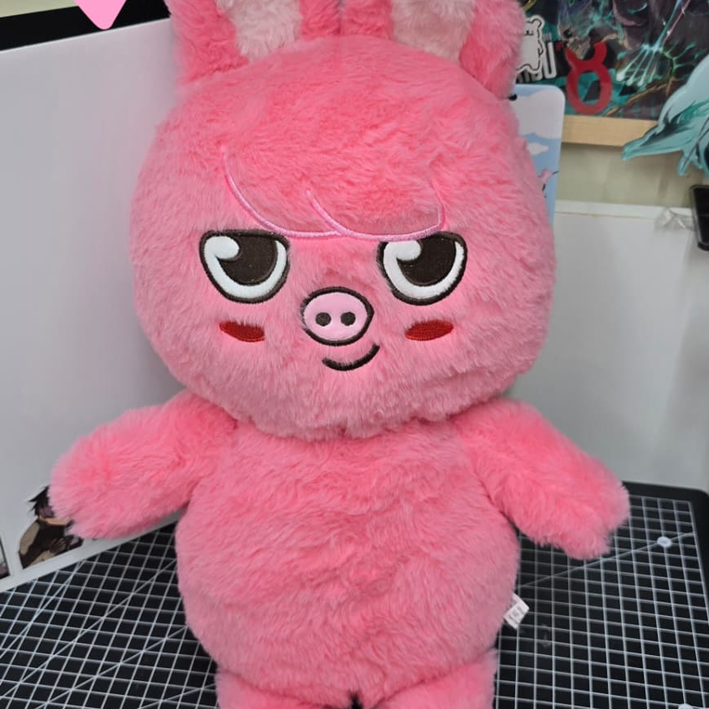 PELUCHE - STRAY KIDS SKZOO 