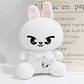 PELUCHE - STRAY KIDS SKZOO 