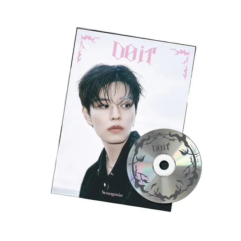 STRAY KIDS - SKZ IT TAPE [DO IT] (ACCORDION Ver.) 8