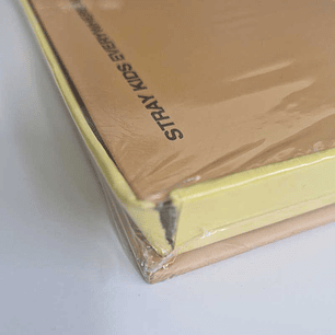 SEGUNDA SELECCIÓN STRAY KIDS - IN LIFE B Ver.