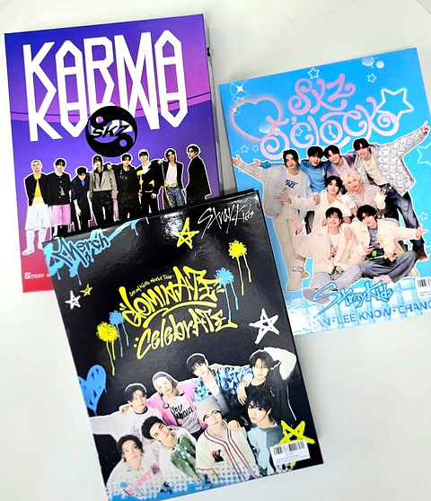 BINDER A5 STRAY KIDS VARIEDADES