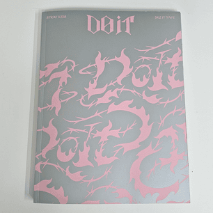 SEGUNDA SELECCIÓN STRAY KIDS - SKZ IT TAPE [DO IT] (IT Ver.)