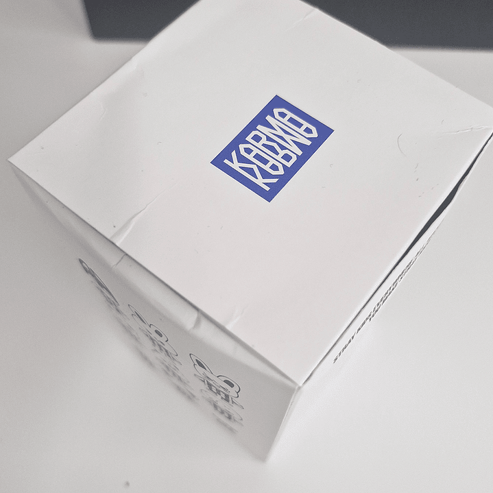 SEGUNDA SELECCIÓN STRAY KIDS - KARMA (SKZOO Ver.)  4