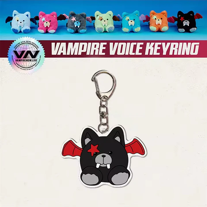 LLAVERO ACRILICO ENHYPEN 