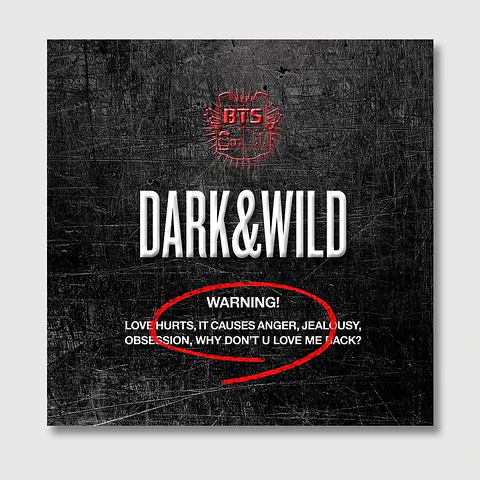 BTS - DARK AND WILD