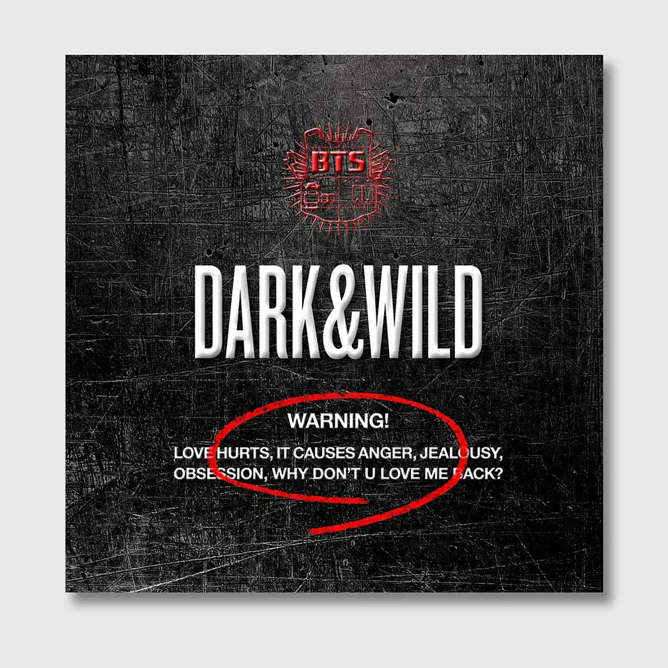 BTS - DARK AND WILD 1