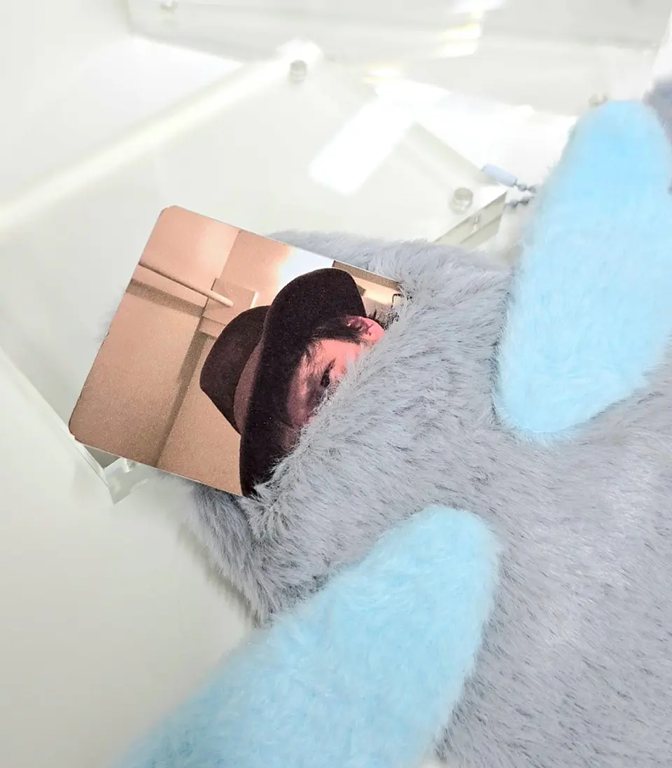 CARD HOLDER FELPA 