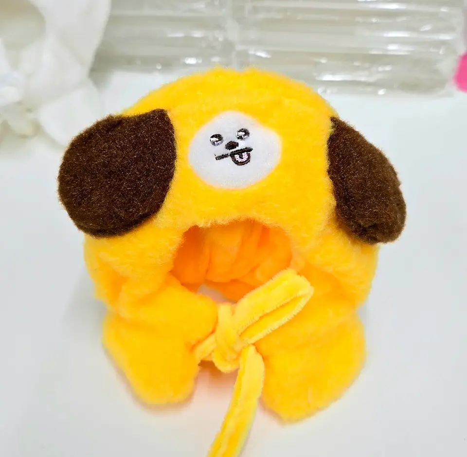 BTS - COSTUME CAPE BT21 ALTERNATIVO 9