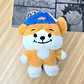PLUSH KEYRING ENHYPEN ENCHIN ALTERNATIVO - Miniatura 9