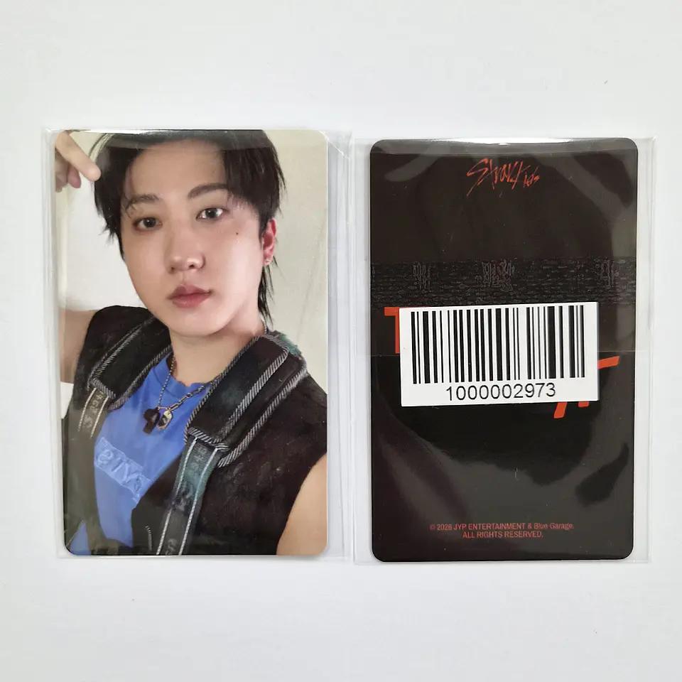 STRAY KIDS - THIS & THAT FANS ALBUM Ver. FANS SHOP POB 4