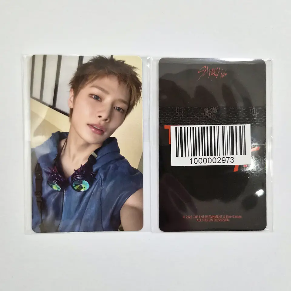STRAY KIDS - THIS & THAT FANS ALBUM Ver. FANS SHOP POB 9