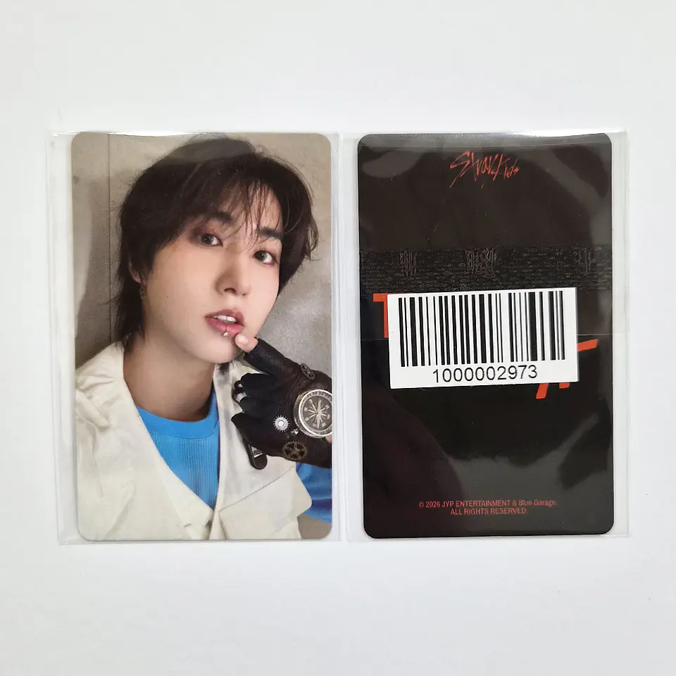 STRAY KIDS - THIS & THAT FANS ALBUM Ver. FANS SHOP POB 6
