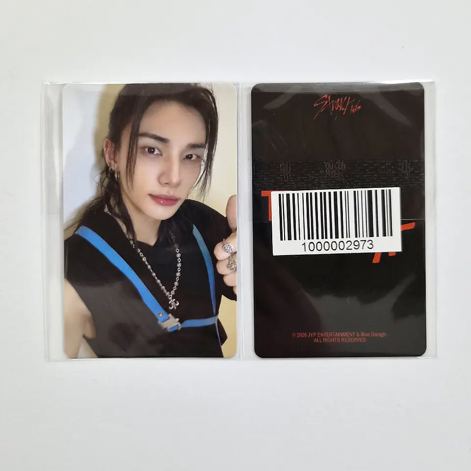 STRAY KIDS - THIS & THAT FANS ALBUM Ver. FANS SHOP POB 5