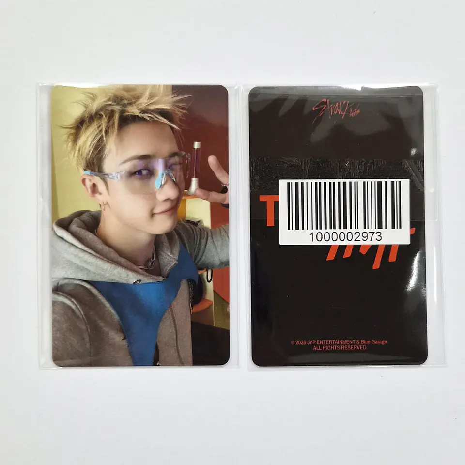STRAY KIDS - THIS & THAT FANS ALBUM Ver. FANS SHOP POB 2