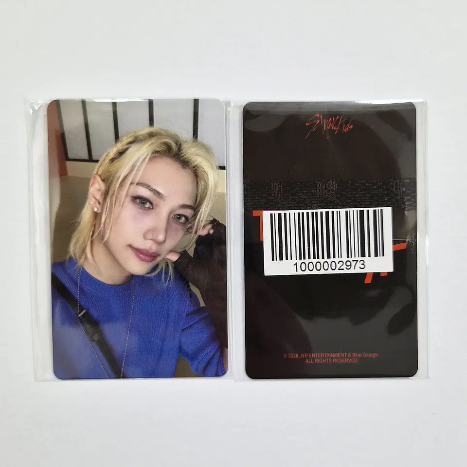 STRAY KIDS - THIS & THAT FANS ALBUM Ver. FANS SHOP POB 7