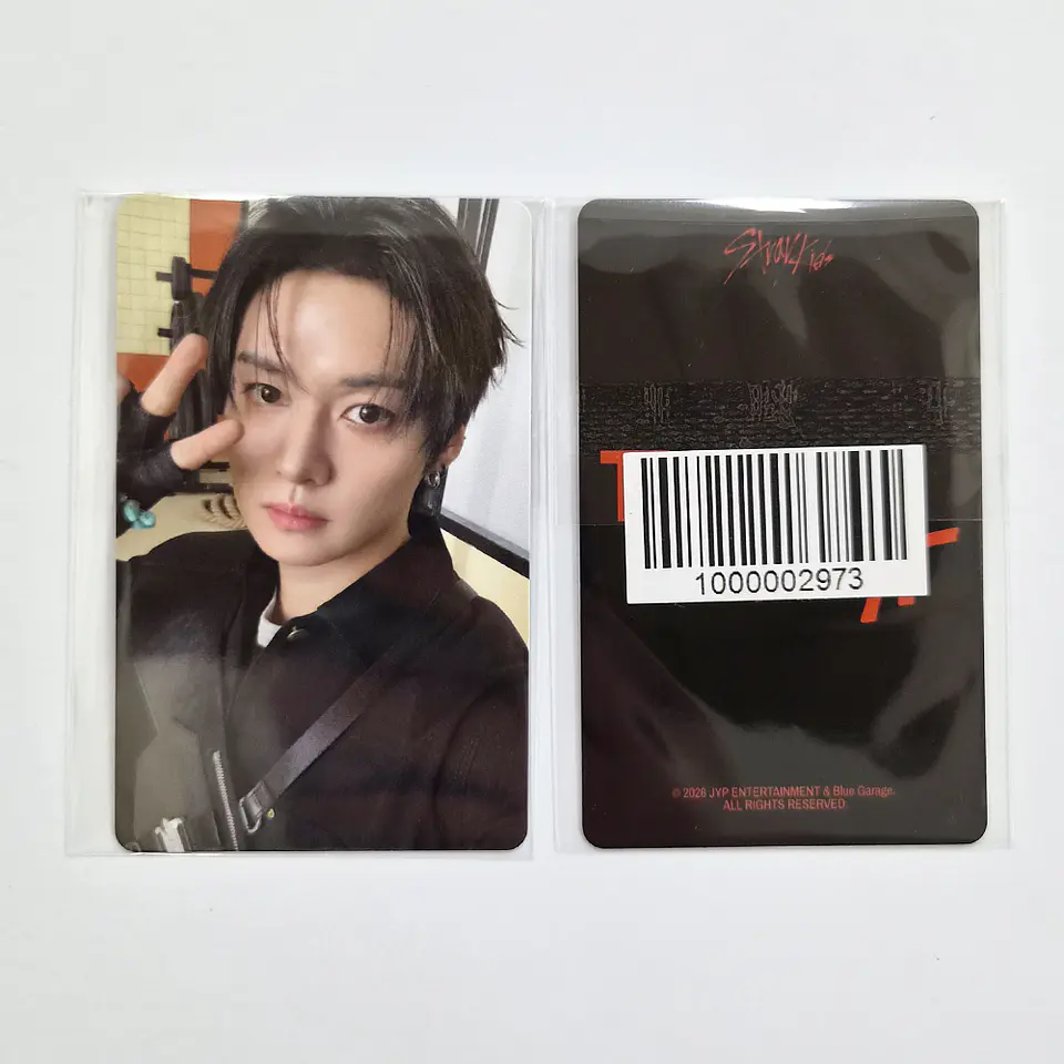 STRAY KIDS - THIS & THAT FANS ALBUM Ver. FANS SHOP POB 3