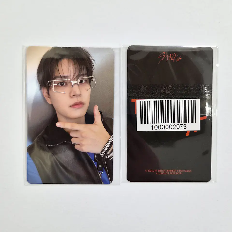 STRAY KIDS - THIS & THAT FANS ALBUM Ver. FANS SHOP POB 8