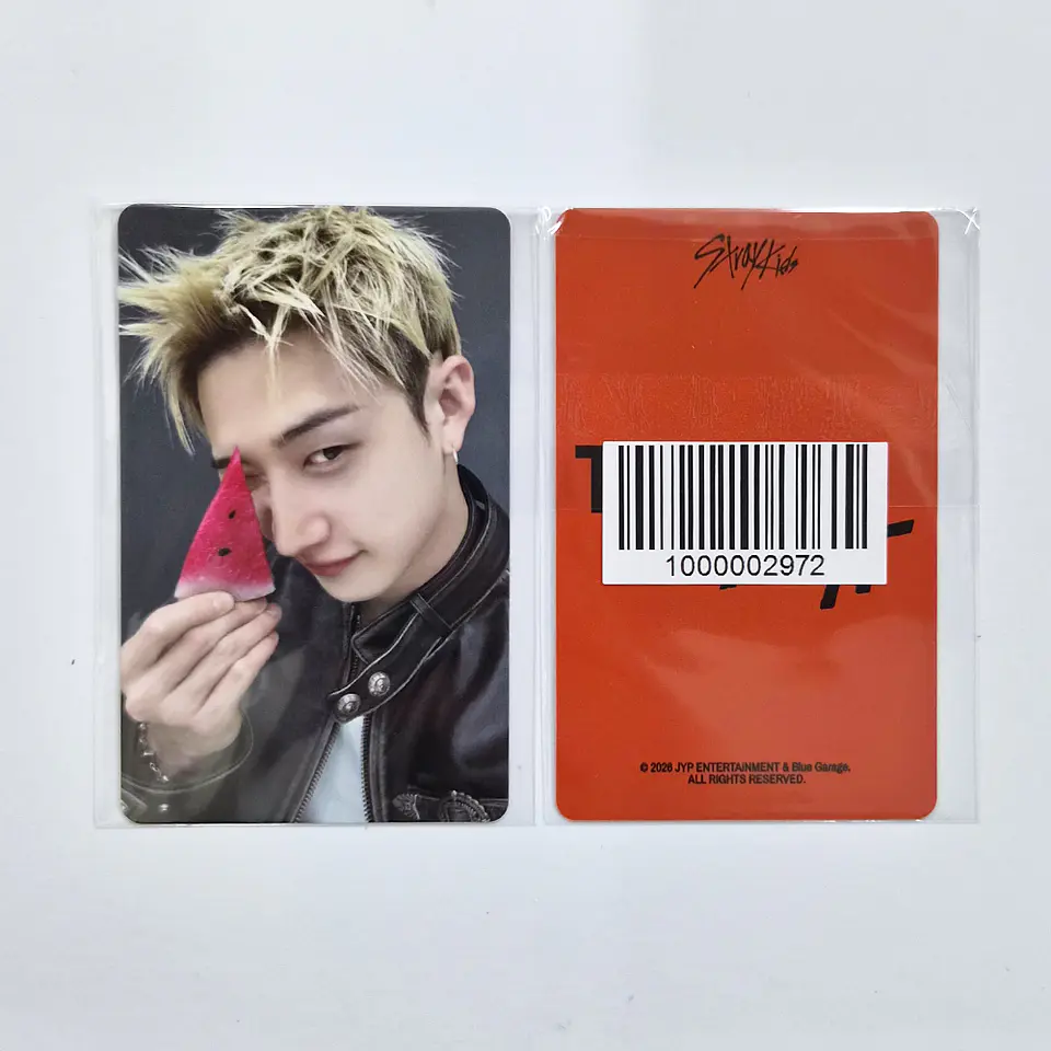 STRAY KIDS - THIS & THAT FANS SHOP POB 2