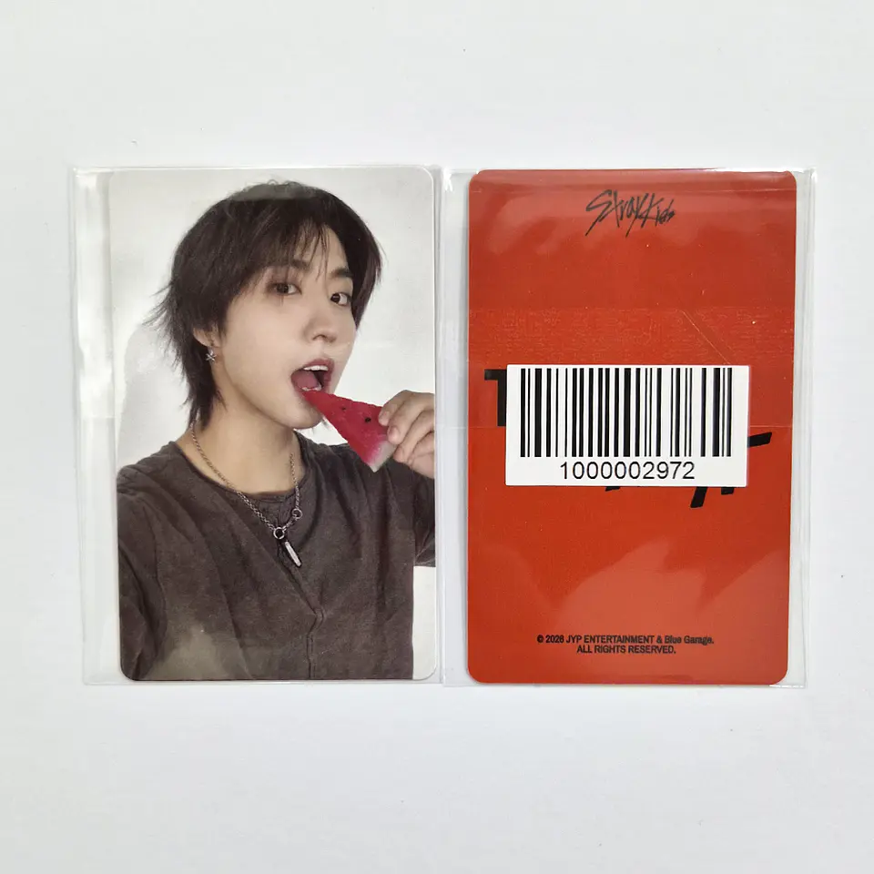 STRAY KIDS - THIS & THAT FANS SHOP POB 6