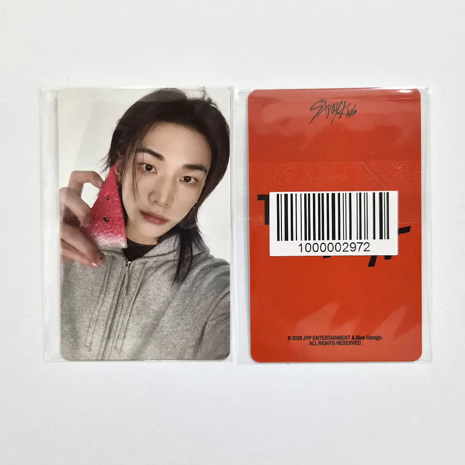 STRAY KIDS - THIS & THAT FANS SHOP POB 5