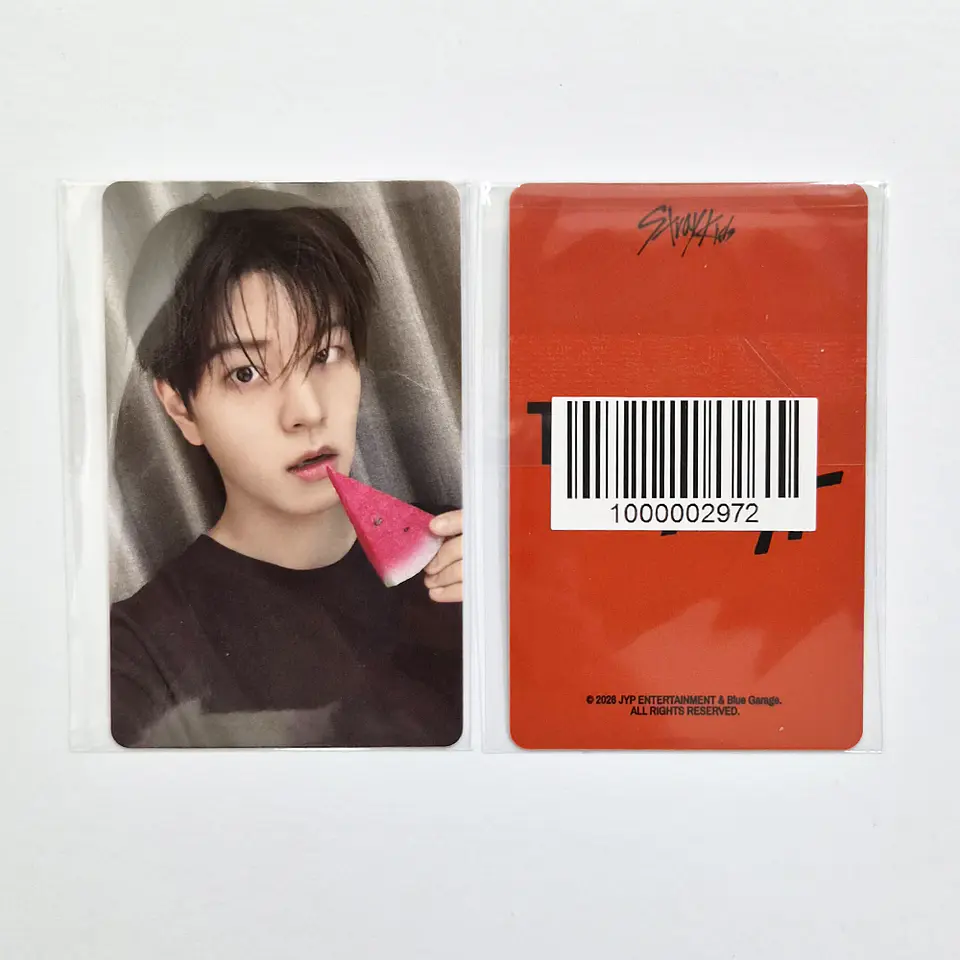 STRAY KIDS - THIS & THAT FANS SHOP POB 8