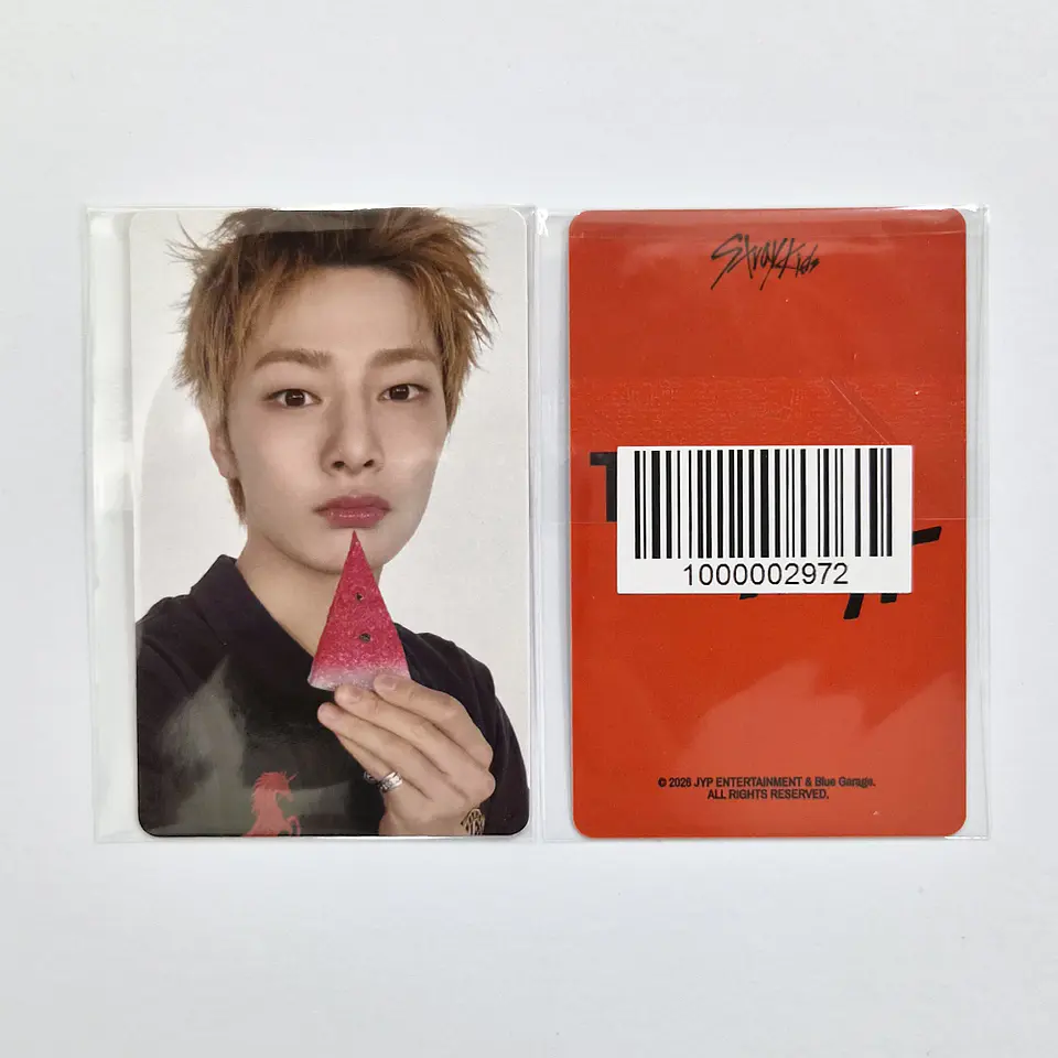 STRAY KIDS - THIS & THAT FANS SHOP POB 9