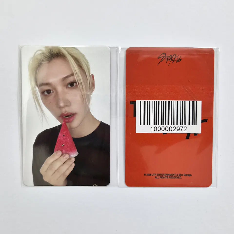 STRAY KIDS - THIS & THAT FANS SHOP POB 7