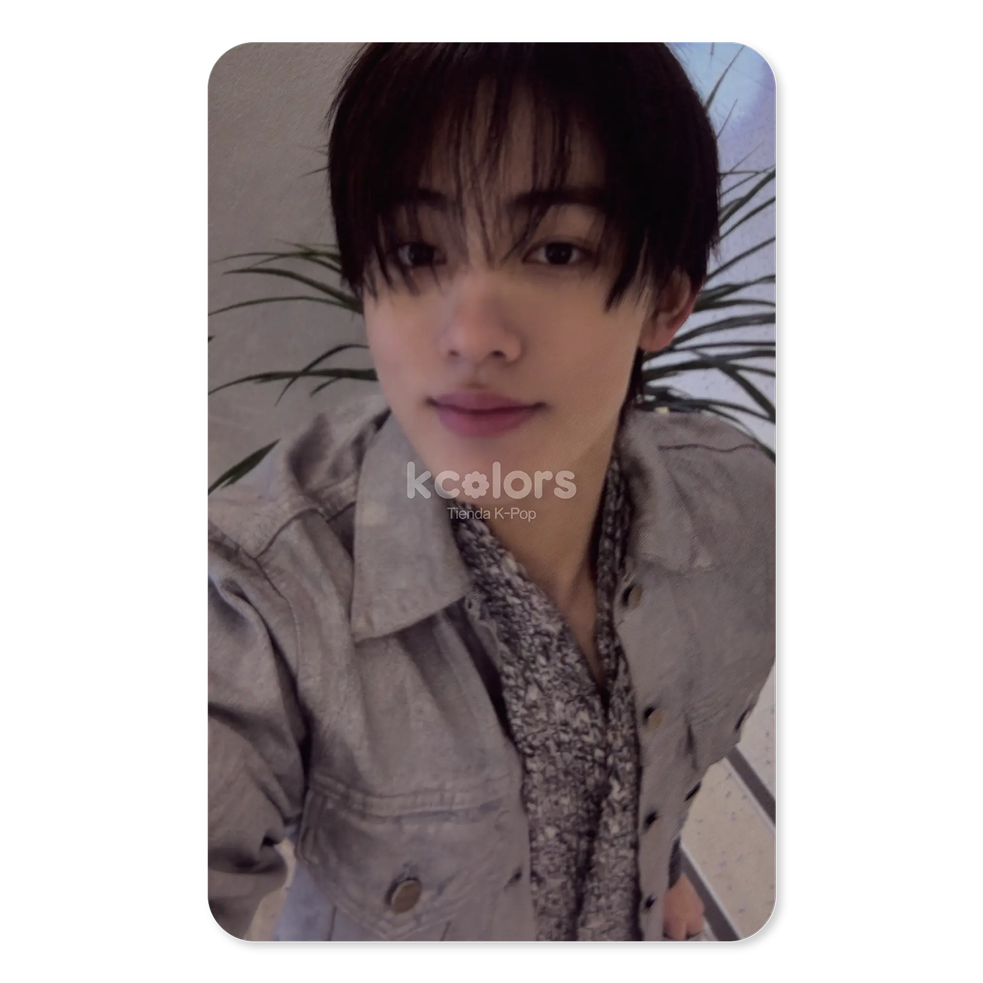 CORTIS - GREENGREEN WEVERSE SHOP POB 4