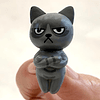 Figura de gato enojado