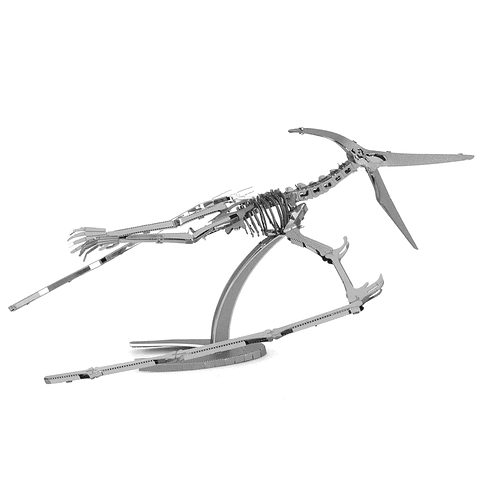 Esqueleto de Pteranodon