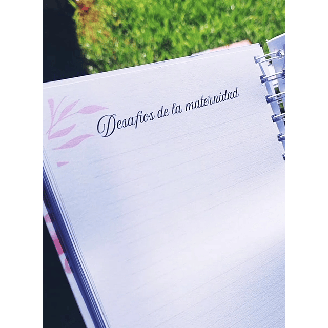 Abuela Cuéntame tu historia 